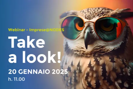 Take a look - Webinar Imprese NODES 20 gennaio 2025