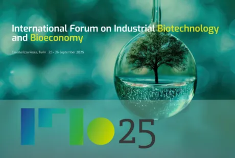 IFIB 2025