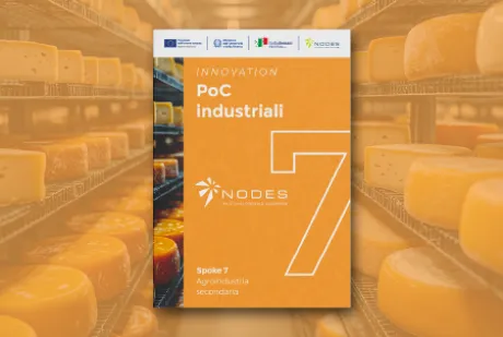 NODES Legacy Depliant PoC Ind - Spoke 7