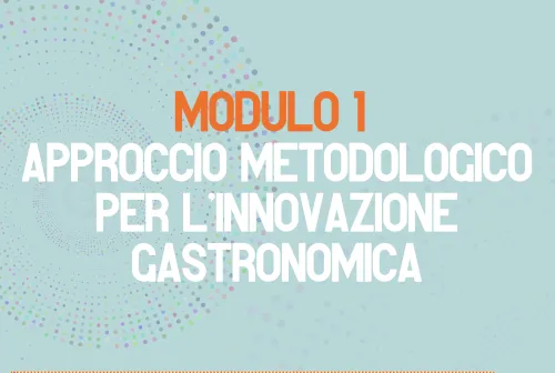 modulo 1
