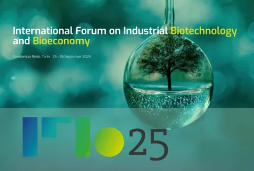 IFIB 2025