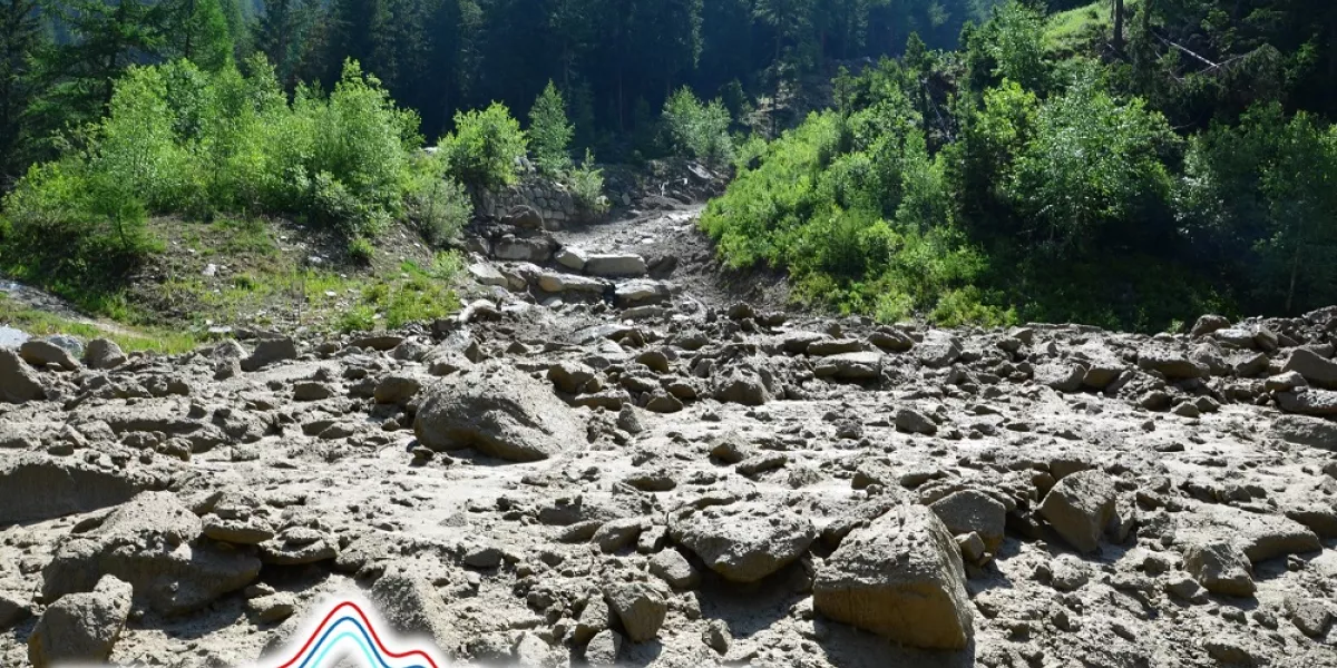 rocce e alberi