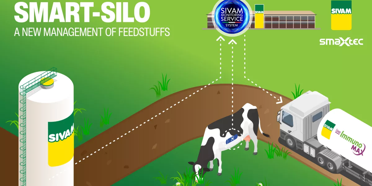 SILOS