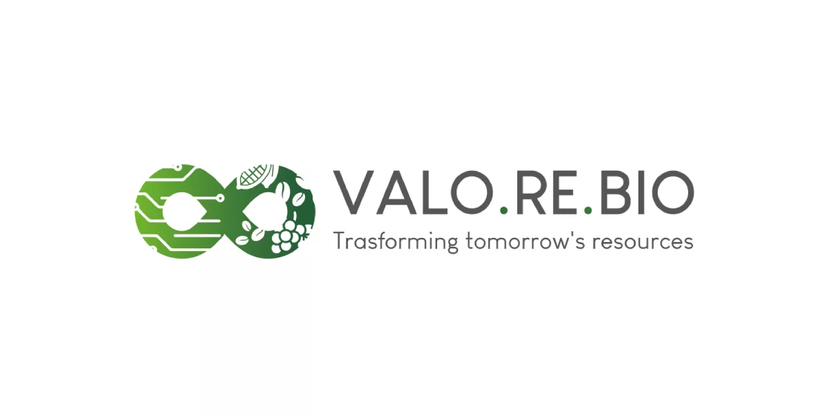 sp2 valorebio big
