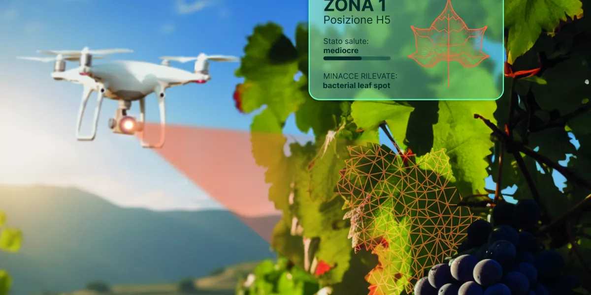 vine ai
