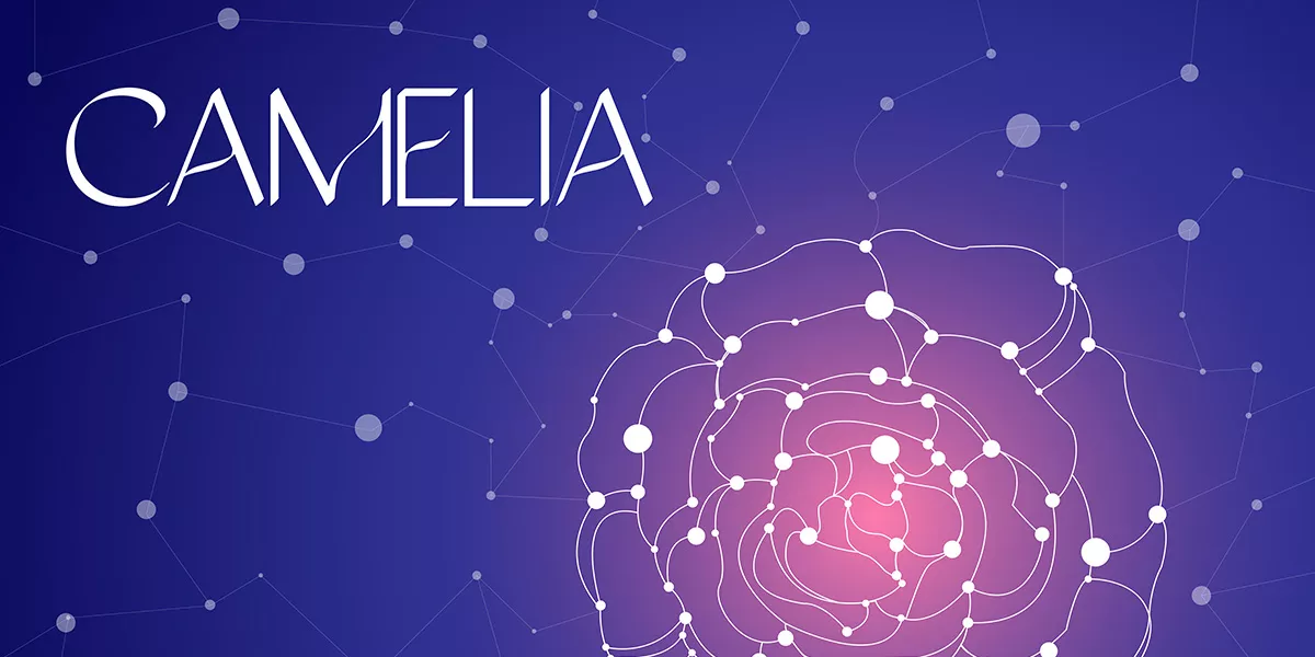 SPOKE3_Camelia_Full