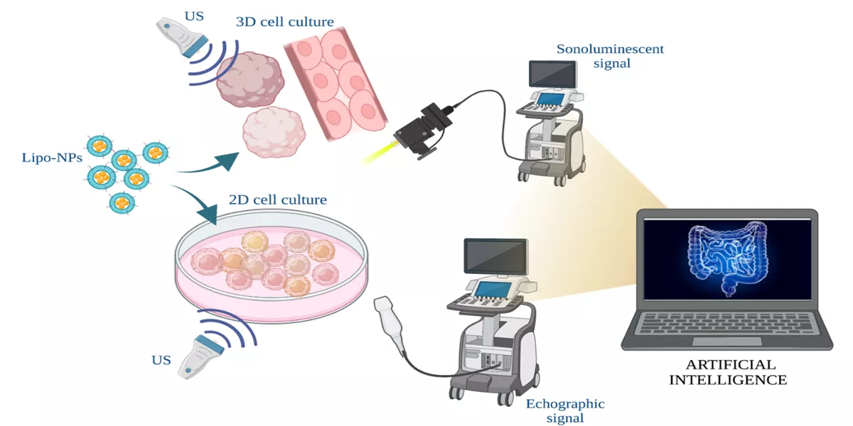 Spoke5_NanoZoomimage