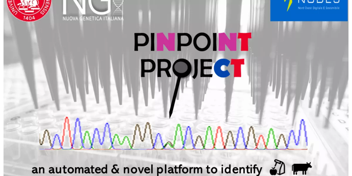 pinpoint