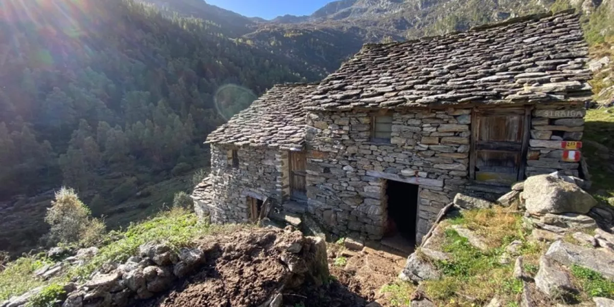 stambecco baita