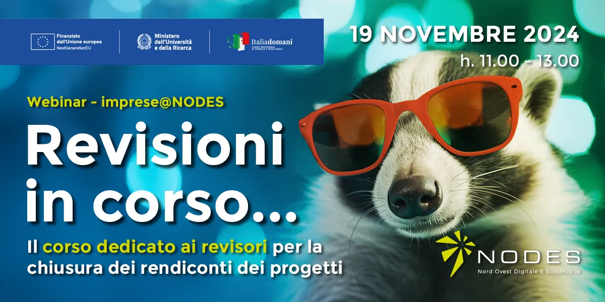 Revisioni in corso - Webinar imprese@NODES - 19 novembre 2024