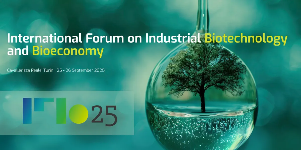 IFIB 2025
